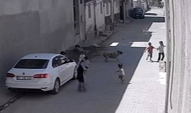 Sokak köpeğinin çocuklara saldırısı kameraya yansıdı