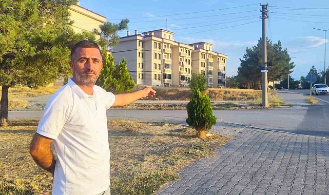 Sokakta görüldü hayrete düşürdü