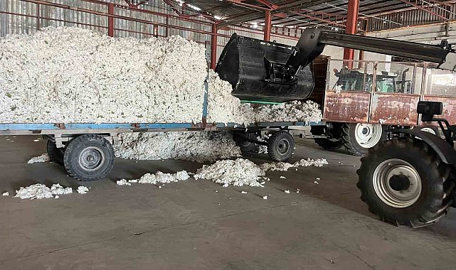Söke TARİŞ Pamuk Kooperatifi sezonun ilk pamuğunu aldı