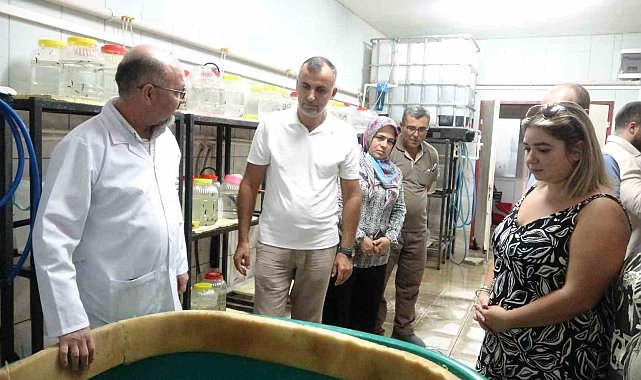 Sülük tedavisi eğitimine yurt dışından yoğun ilgi