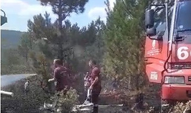 Tavşanlı'da orman yangını