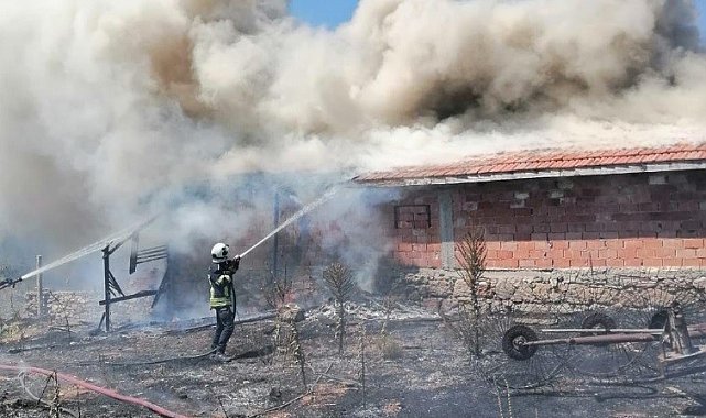Tavşanlı'da ot yangını boş besi damına sıçradı