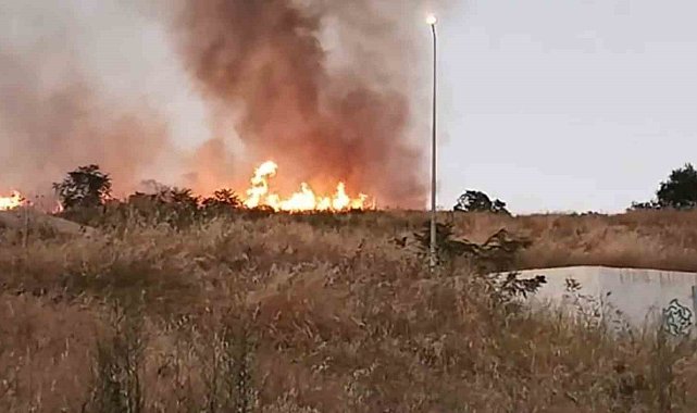 Tekirdağ&#039;da Çırçır Tepesi&#039;nde yangın