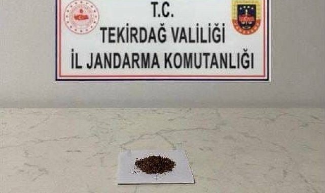 Tekirdağ'da uyuşturucu operasyonları