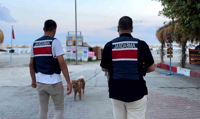 Tekirdağ'da Zıpkın-22 operasyonu