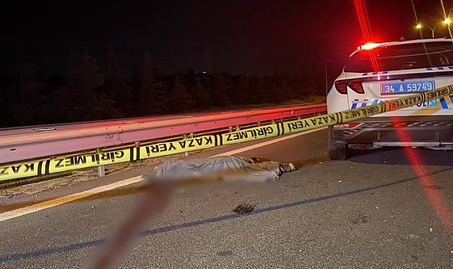 TEM Otoyolu&#039;nda yolun karşısına geçmeye çalışan yayaya otomobil çarptı: 1 ölü