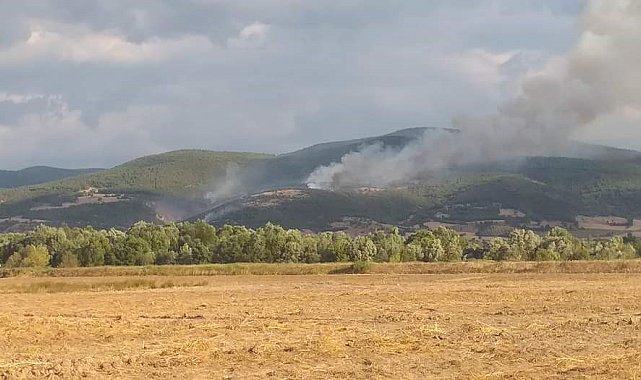 Tokat'ta 20 dönüm ormanlık alan kül oldu
