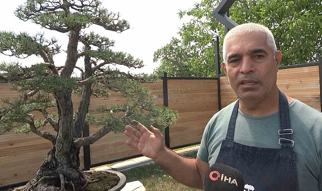 Toprak Dede'nin bonsai koleksiyonu müzede yaşatılıyor