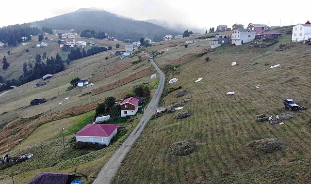 Trabzon'da yaylacıların çayır biçme telaşı