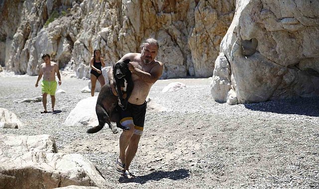 Tünelin altındaki koyda mahsur kalan köpeğe kurtarma operasyonu