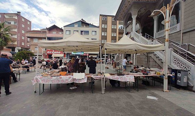 Türkeli'de sahipsiz hayvanlar için 51 bin lira toplandı