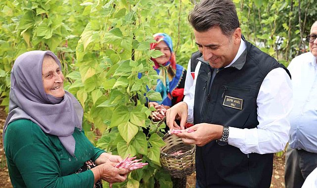 Türkiye'nin en güzel barbunyası: 'Kınık Barbunyası'