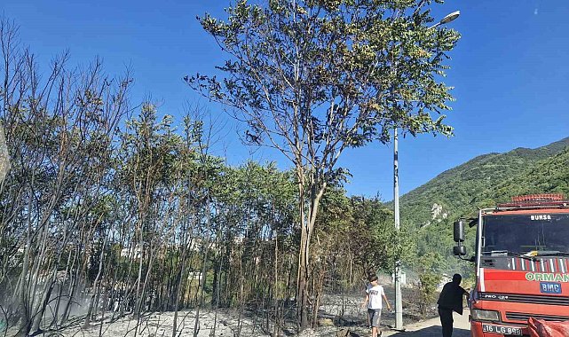 Uludağ eteklerindeki ormanlık alanda korkutan yangın