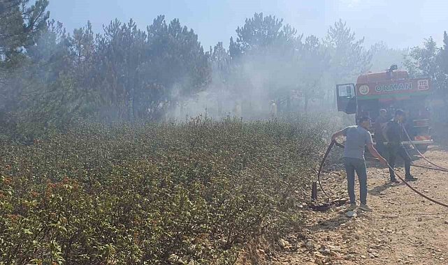 Valilikten Kırka yangını ile ilgili açıklama