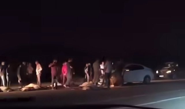 Van'da otomobil sürüye çarptı: 21 koyun telef oldu