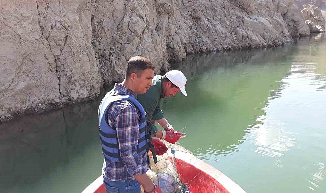 Van'da sazangiller av yasağı sona erdi