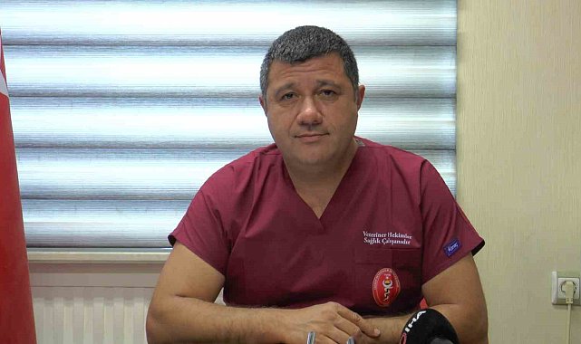 Veteriner hekimlerden kanun için 'iş birliği' çağrısı