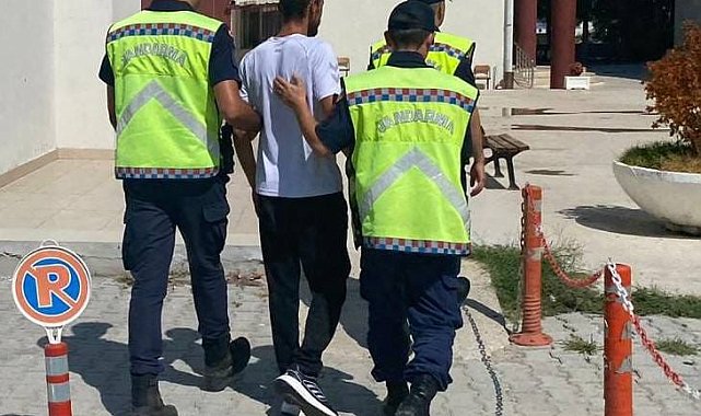 Yalova&#039;da 181 kök Hint keneviri ele geçirildi: 1 gözaltı