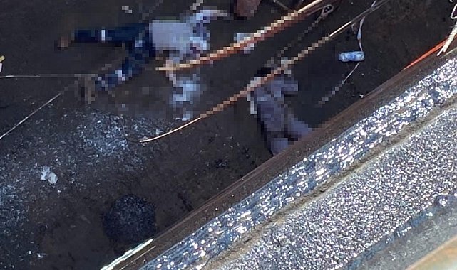 Yalova'da tersanede iş kazası: 2 ölü