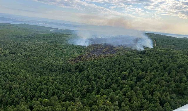 Yalova'daki orman yangınına havadan ve karadan müdahale sürüyor