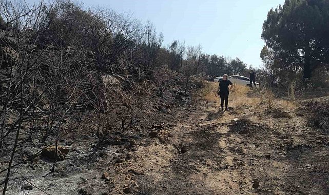 Yangından zarar gören tarımsal alanlarda incelemelerde bulunuldu