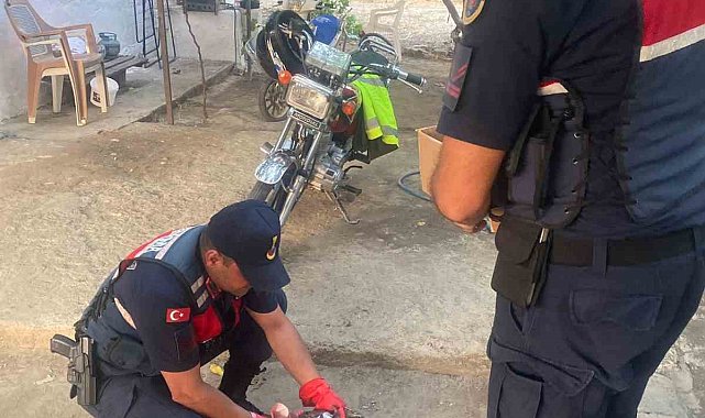 Yaralı şahin, jandarma ekiplerince kurtarıldı