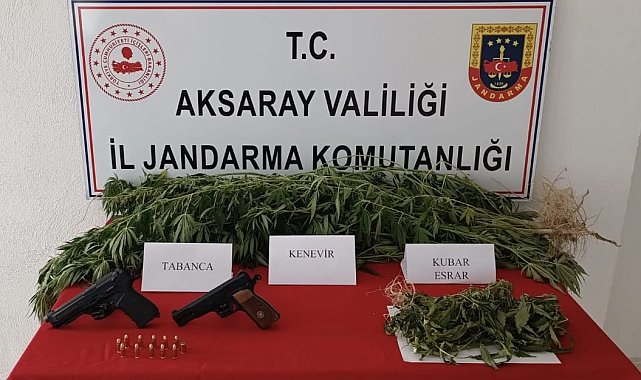 Yasa dışı kenevir üretimine jandarma darbesi