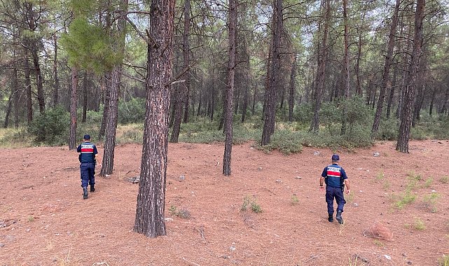 Yasak ormanlık alanlara giren 31 kişi cezadan kaçamadı