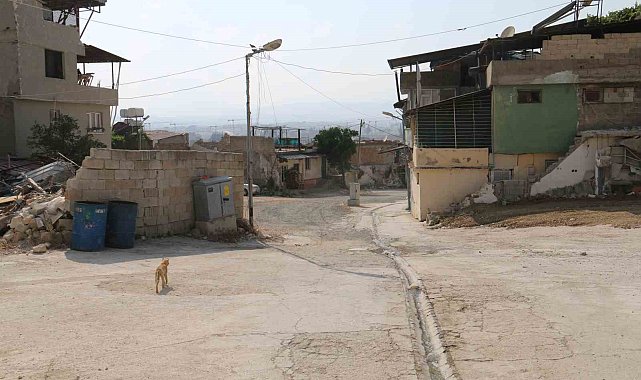 Yaşlı kadının etrafını saran sokak köpeklerinden tedirgin olduğu anlar kamerada