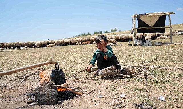 Yaylada yaşayan çocuklar yaz tatilinin keyfini çıkarıyor