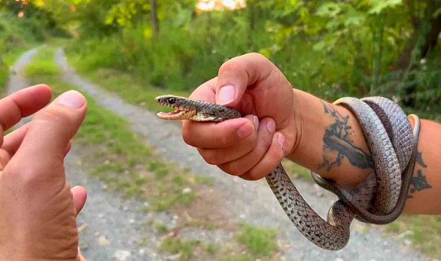 Yılanlara fısıldayan adam, bakmaya bile korkanlar varken cesaretiyle sınırları zorladı