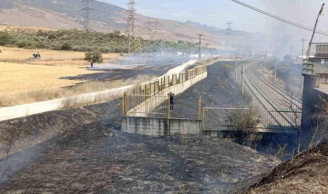 Yol kenarına atılan sigara izmariti yangına sebep oldu