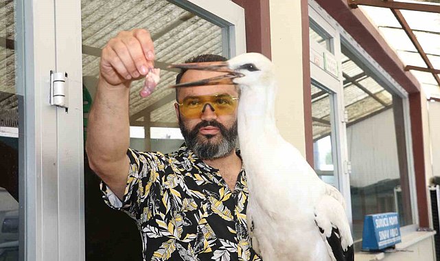 Yolda bulduğu leyleği her gün 1 kilo ciğerle besledi
