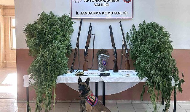 Zehir tacirlerinin sobaya sakladıkları esrarı narkotik köpeği buldu