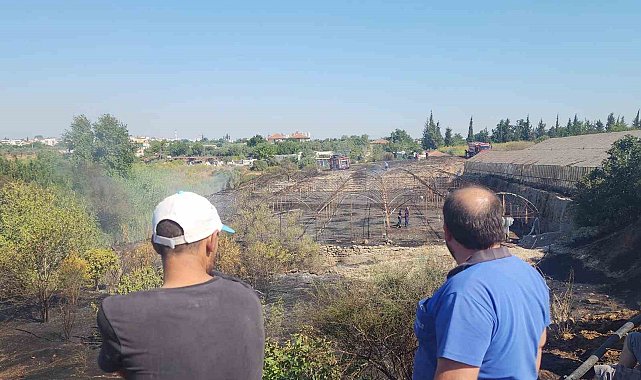 Zeytinlikte çıkan yangın evlere ulaşmadan söndürüldü