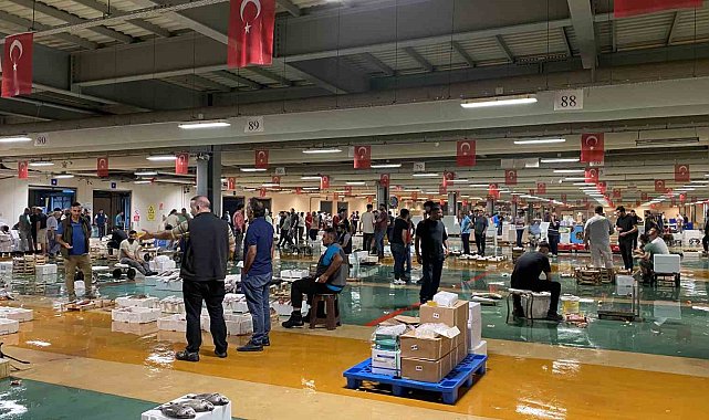 Av yasağı sona erdi, İstanbul'da sezonun ilk balıkları avlandı