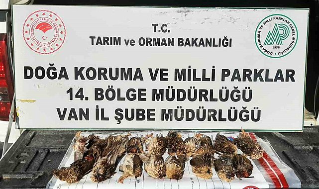 Kota aşımı yapan 3 avcıya 57 bin 373 lira cezai işlem uygulanacak