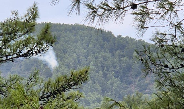 Muğla'da yıldırım kaynaklı orman yangınları meydana geldi