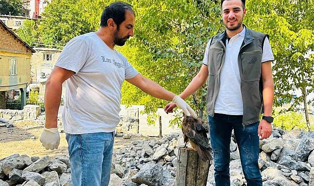 Uludere'de yaralı bulunan kaya kartalı tedavi altına alındı