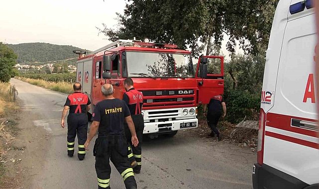Yalova'da "uçak düştü" ihbarı asılsız çıktı