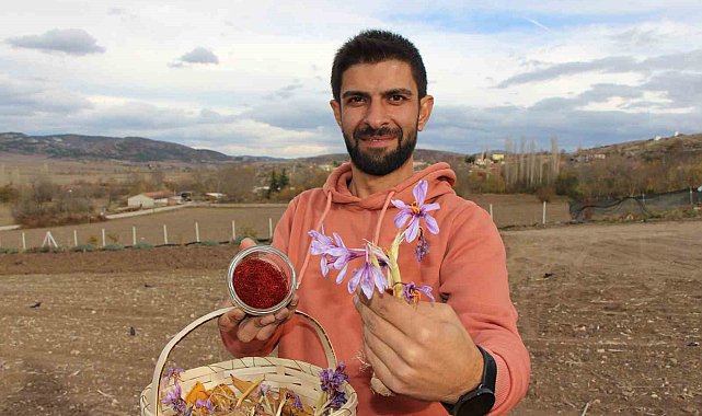 'Çiçekten para mı kazanacaksın' diye güldüler, beş yılda Türkiye'nin en büyük safran üreticisi haline geldi