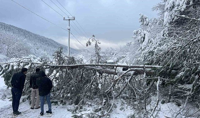 Abant yoluna ağaç devrildi, tatilciler yolda kaldı