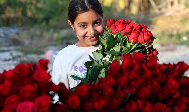 Adana&#039;da gül hasadı yüz güldürdü