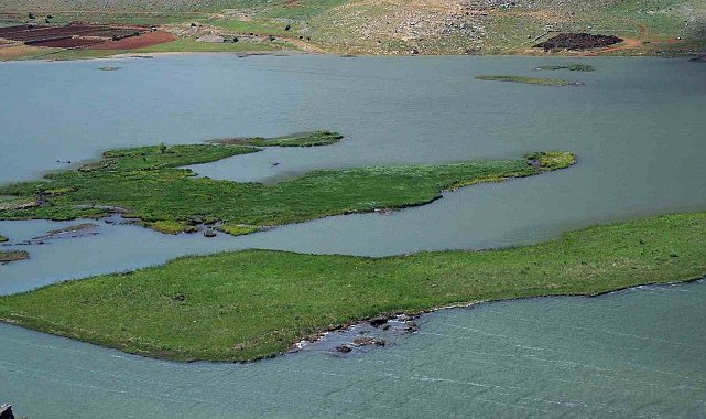 Adıyaman'da yüzen adaların kurtarılması için çalışma başlatıldı