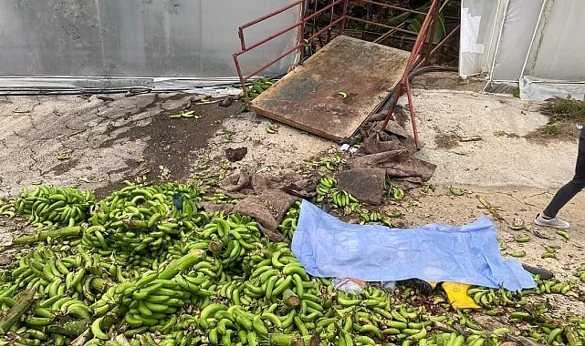 Alanya&#039;da seradaki iş kazasıyla ilgili 2 kişi tutuklandı