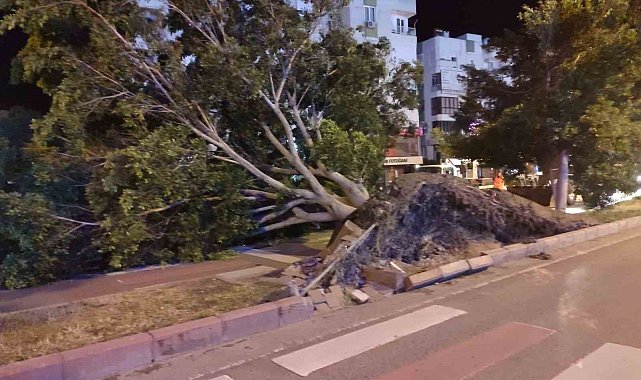 Antalya'da fırtına mesaisi