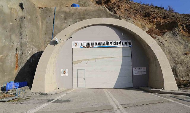 Artvin'de atıl kalan tünel mantar üretim merkezi oldu