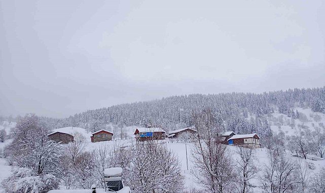 Artvin'de kar kalınlığının 1 metreyi bulduğu köyde gece gündüz çatı temizleniyor