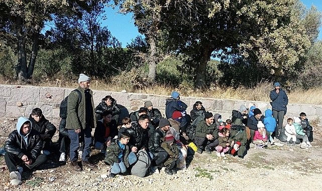 Ayvacık'ta 71 kaçak göçmen yakalandı