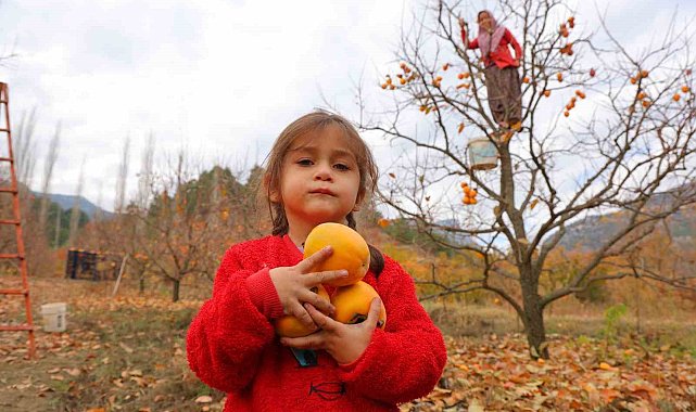 Bahçede 25, markette 80 lira